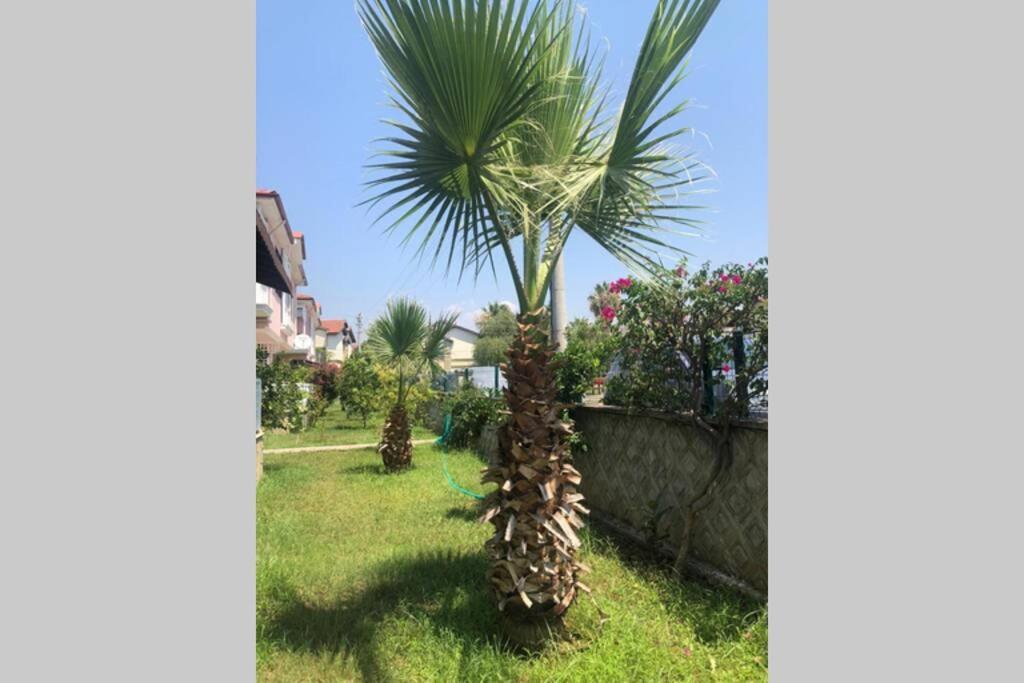 Peaceful House Villa Fethiye Exterior photo